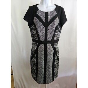SANDRA DARREN Size 10 Shift Dress Black White Short Sleeve Stretch Knit